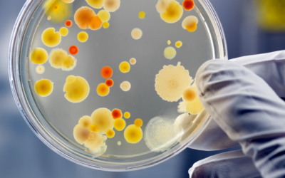 The fight against AMR