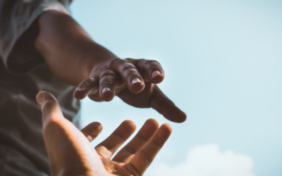 IDA honours World Refugee Day