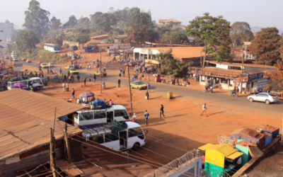 Building local networks with partners