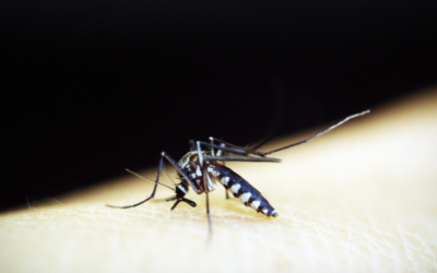 From prevention to treatment: our impact